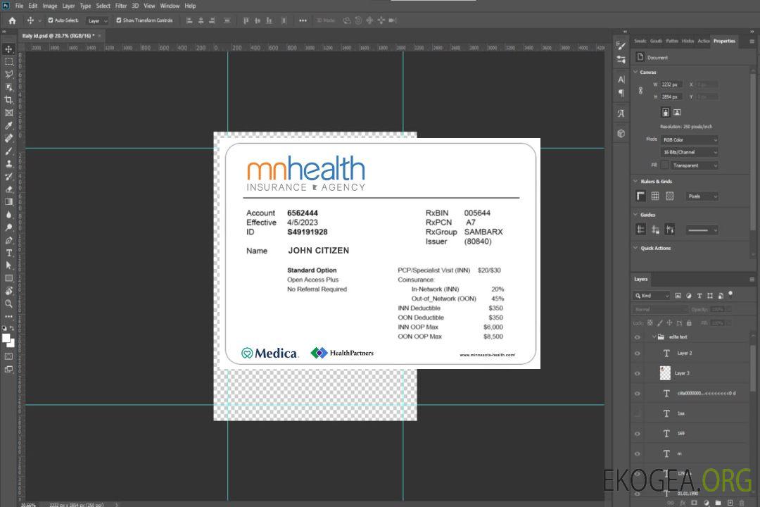 Carte d'assurance maladie du Minnesota template